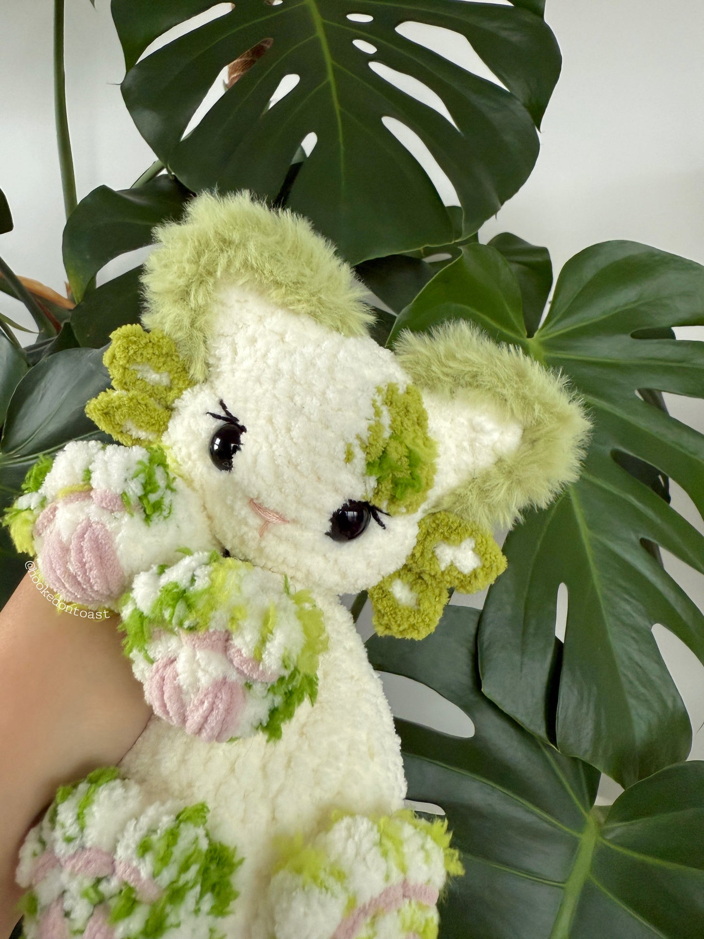 Mossy Axolotl Kitty