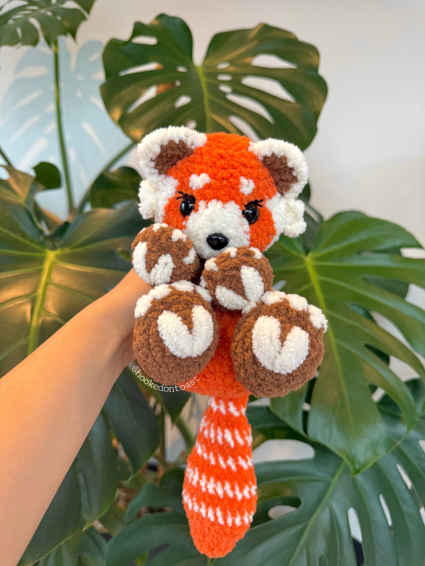 Tango the Red Panda