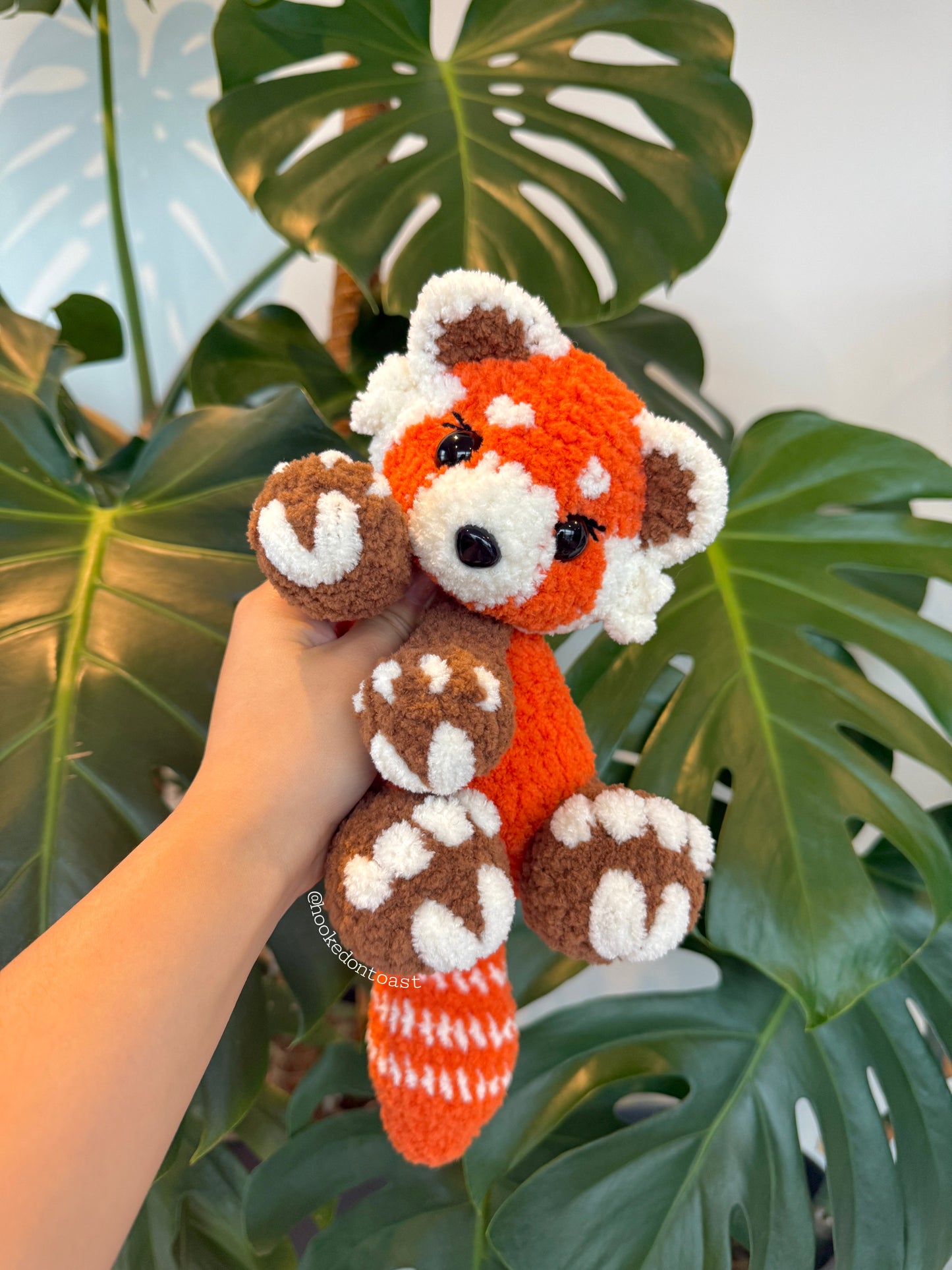 Tango the Red Panda